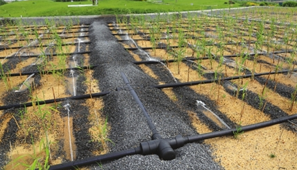 農村生活汙水(shuǐ)處理設備一體化汙水處理設備.png 農(nóng)村生活汙水(shuǐ)處理設備一體化汙水處理設備.png