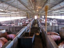 養殖場汙水處理.png 養殖場汙水處(chù)理.png